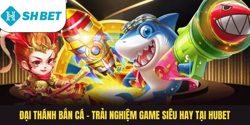 Banner www.concentric.vn