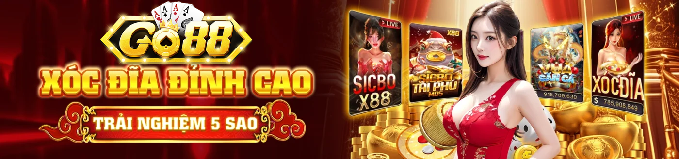 Banner www.concentric.vn