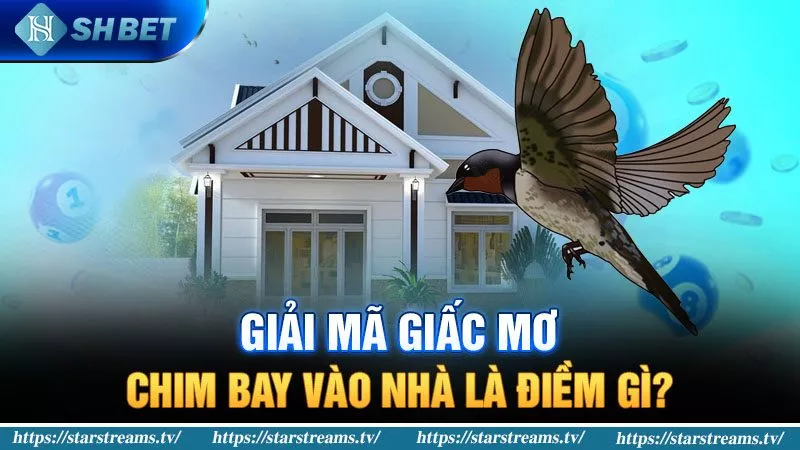 Banner www.concentric.vn