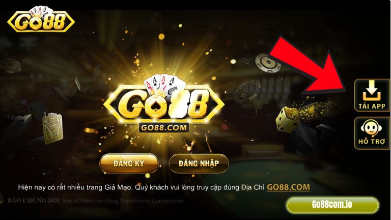 Banner www.concentric.vn