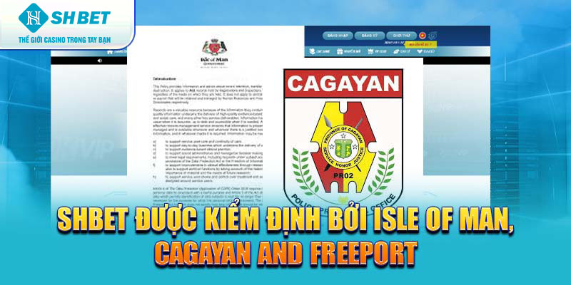 Banner www.concentric.vn