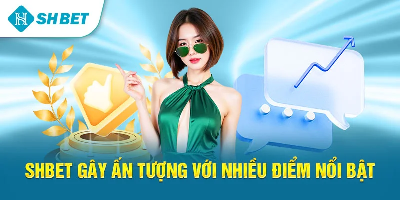 Banner www.concentric.vn