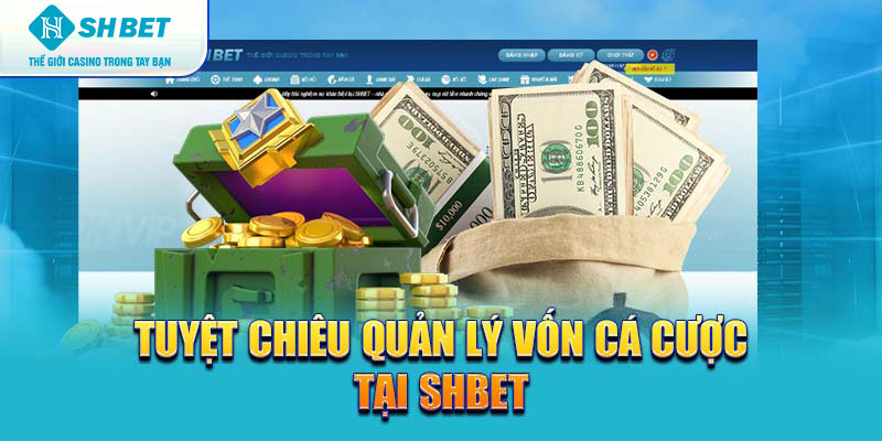 Banner www.concentric.vn