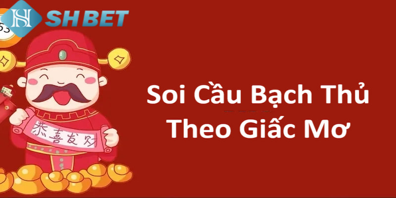 Banner www.concentric.vn