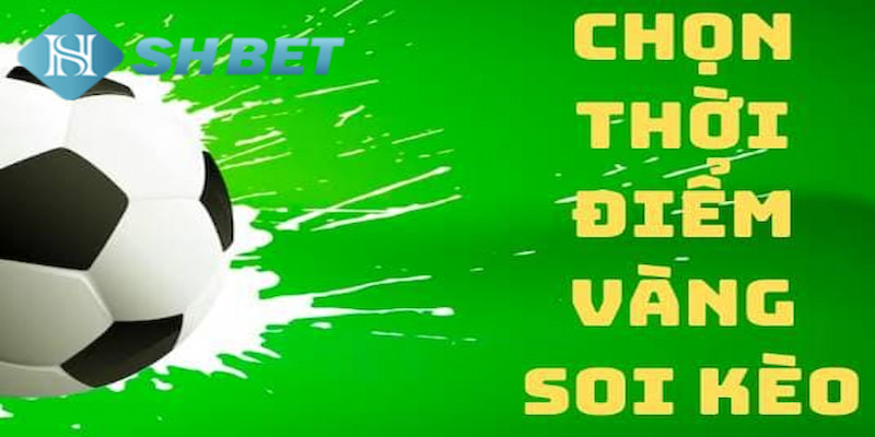 Banner www.concentric.vn