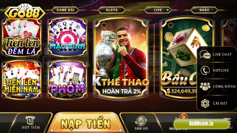 Banner www.concentric.vn