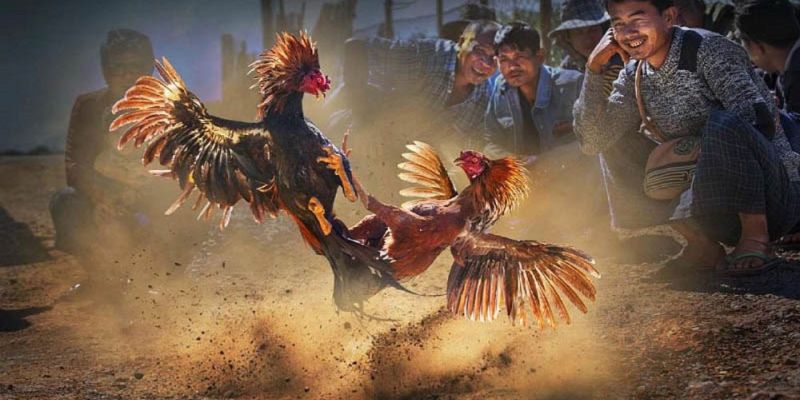 Banner www.concentric.vn