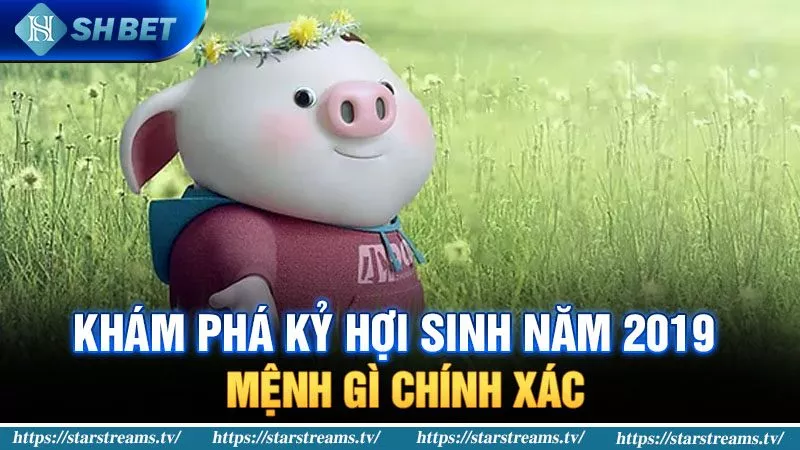 Banner www.concentric.vn