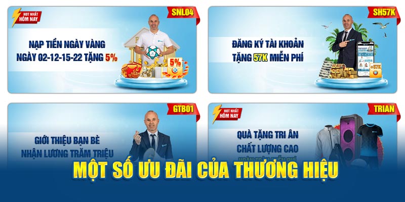Banner www.concentric.vn