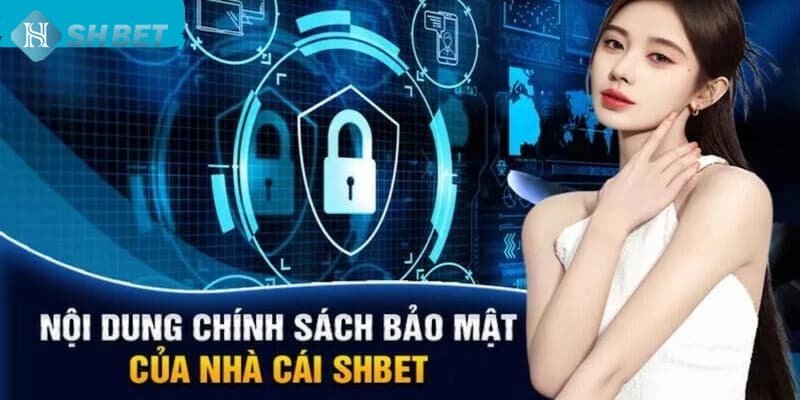 Banner www.concentric.vn