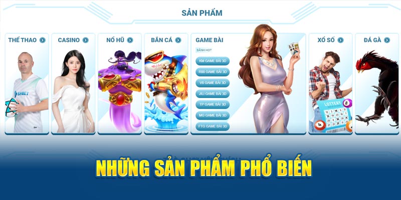 Banner www.concentric.vn