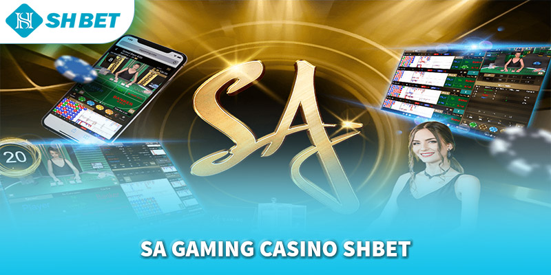 Banner www.concentric.vn