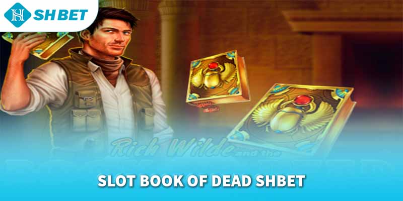 Banner www.concentric.vn