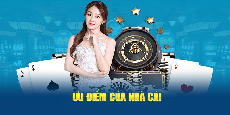 Banner www.concentric.vn